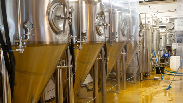 Popular beers found with high levels of dangerous 'forever chemicals,' study reveals