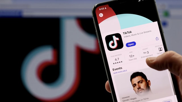 TikTok launches new meditation feature for teens