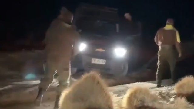 Watch: Elderly German tourist rescued getting stuck near Chilean volcano