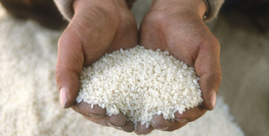 Dangerous levels of arsenic found in US rice: What families need to know now