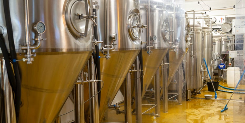 Popular beers found with high levels of dangerous 'forever chemicals,' study reveals