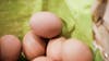 CDC links salmonella outbreak to 1.7 million eggs recalled across 9 states