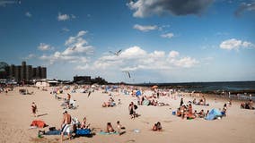 Can foods protect you from the sun? What experts say about edible sunscreen