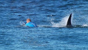 Map: Here's where the most shark attacks have happened