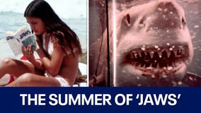 ‘Jaws’ was fiction; this was the terrifying true story