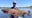 See it: Angler shatters Idaho state record with unforgettable catch