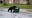 Watch: Bear's hilarious attempt to pry open a trash can