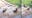 Rabbit v. squirrel: The adorable showdown we've all been waiting for