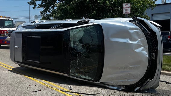Cicadas blamed for crash that left car on its side