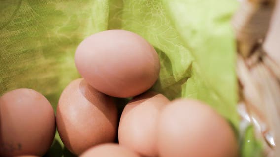 CDC links salmonella outbreak to 1.7 million eggs recalled across 9 states