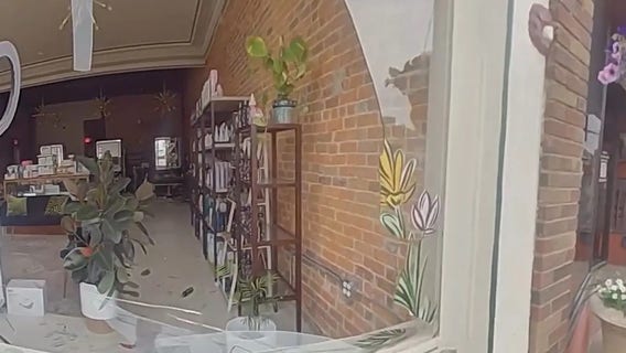 Watch: Deer trashes Iowa hair salon after breaking through window