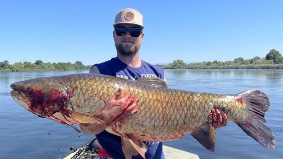 See it: Angler shatters Idaho state record with unforgettable catch