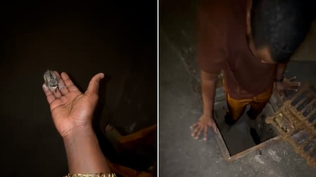 Watch: Baby bird rescued from storm drain, reunited with mother