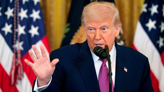 Trump orders mass deportations focused on Democratic cities amid growing protests