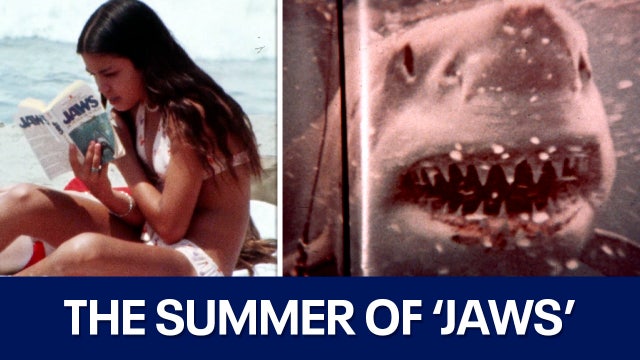 ‘Jaws’ was fiction; this was the terrifying true story