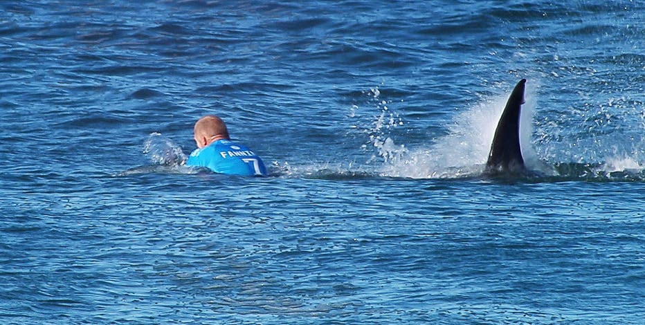 Map: Here's where the most shark attacks have happened