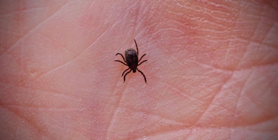 Ticks spread to new regions across America, bringing dangerous