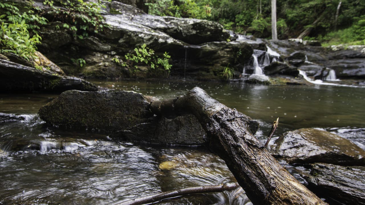 Police Hunt Suspect After Couple Killed Hiking Arkansas State Park
