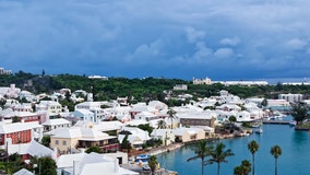 US cruise passengers nabbed after allegedly possessing lethal drug powerful enough to sedate elephants