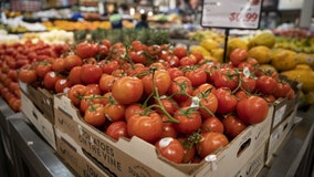 Your grocery bill could rise as fresh tomato prices set to jump