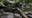 Devil’s Den murders: Arkansas couple killed while hiking with young daughters