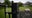 ‘Chamber of horrors’ finally being exhumed at mass baby grave site