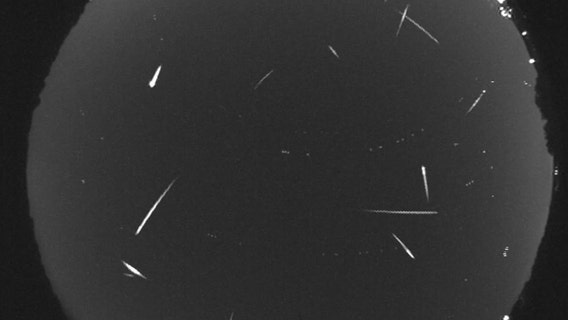 July’s dueling meteor showers peak this week and could outshine August’s Perseids