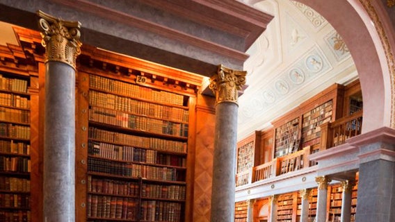 Beetle infestation threatening thousands of ancient books in Hungary's oldest library