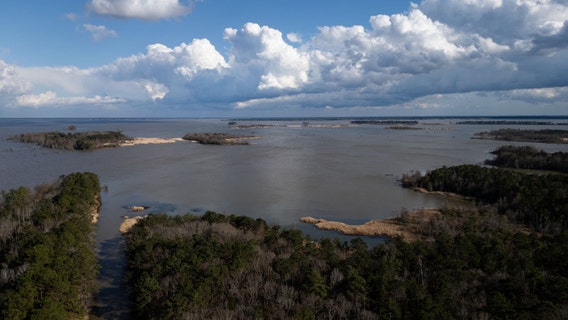 South Carolina boy dies from brain-eating amoeba in lake