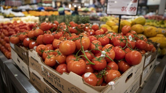 Your grocery bill could rise as fresh tomato prices set to jump