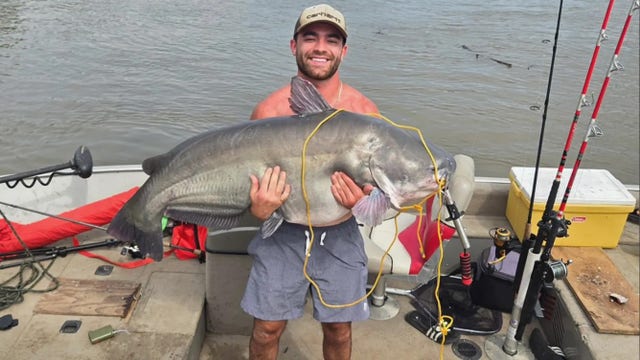 Man reels in monster 86.8-pound blue catfish from Missouri River: 'Impressive'
