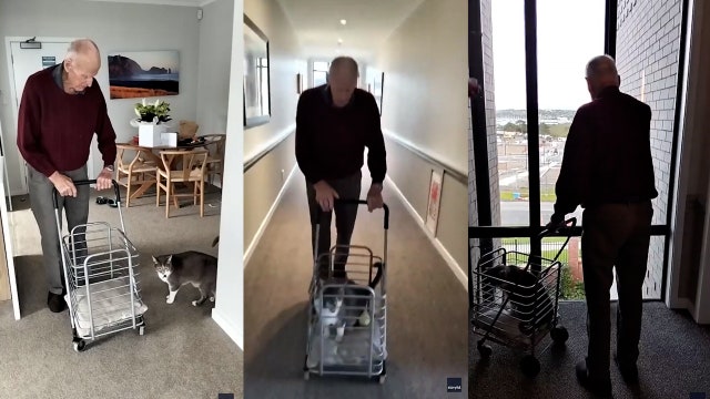 Watch: Adorable 93-year-old wins hearts with daily walks for his senior cat