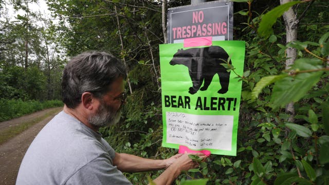 Woman mauled by bear while hiking on popular Alaska trail