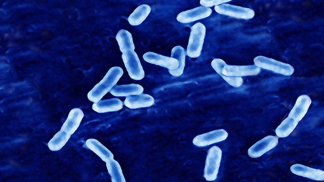 Thousands of Rich’s Ice Cream products recalled due to possible listeria contamination