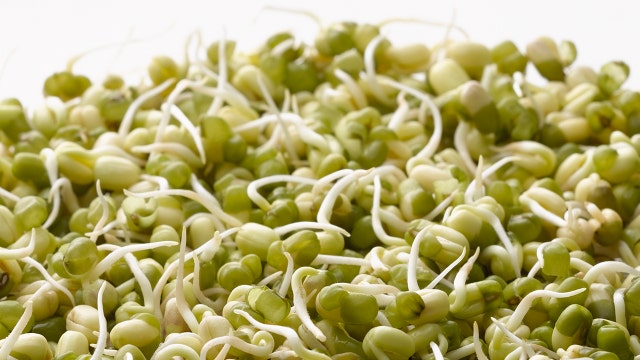 Frozen sprouted beans recalled amid salmonella outbreak