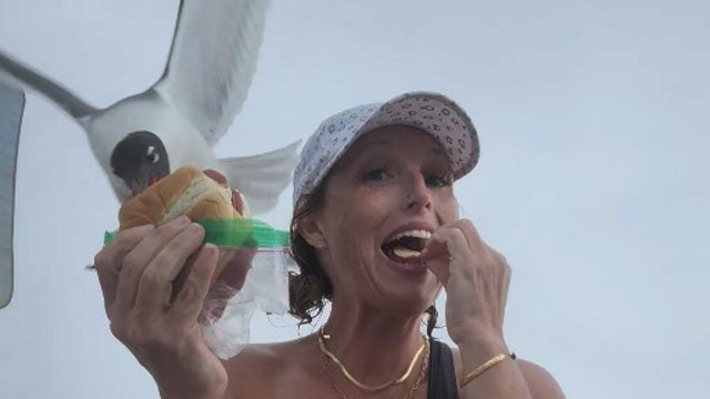Watch: Seagull swoops down and steals woman's sandwich out of her hand