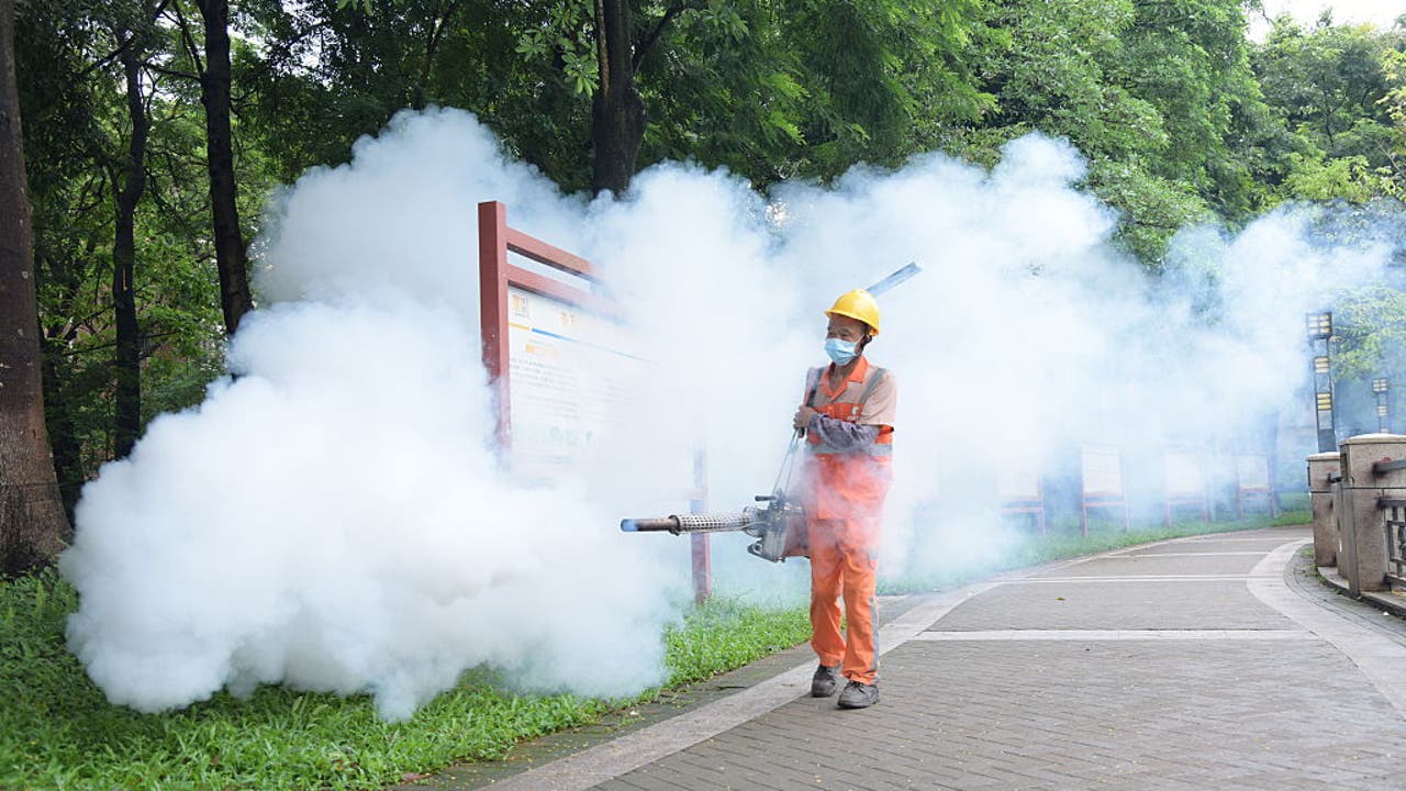 CDC issues travel warning over chikungunya outbreak in China