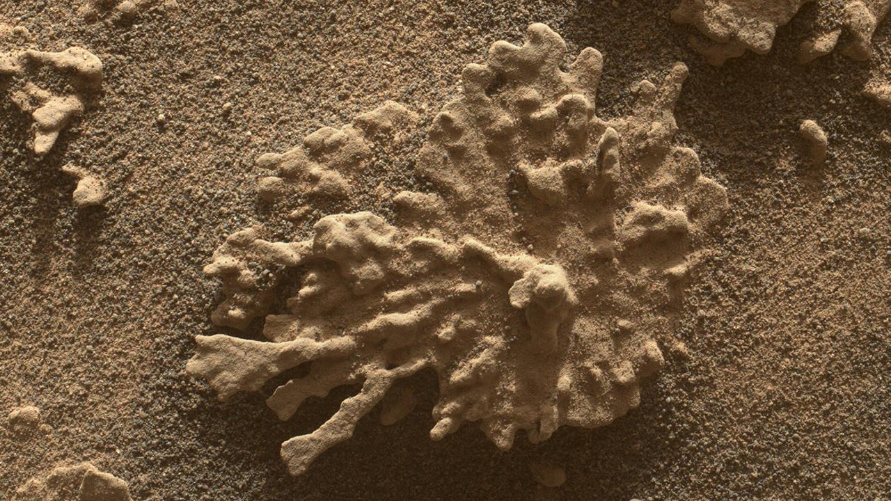 Mars surface with coral-shaped rocks