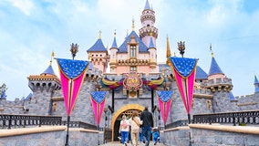 Disney influences thousands of baby names every year: See the list