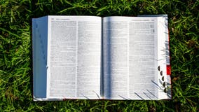 'Skibidi' and 'tradwife' among 6,000 new words added to Cambridge dictionary