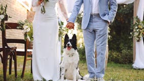 Most young adults today haven’t reached key adulthood milestones, US Census data finds