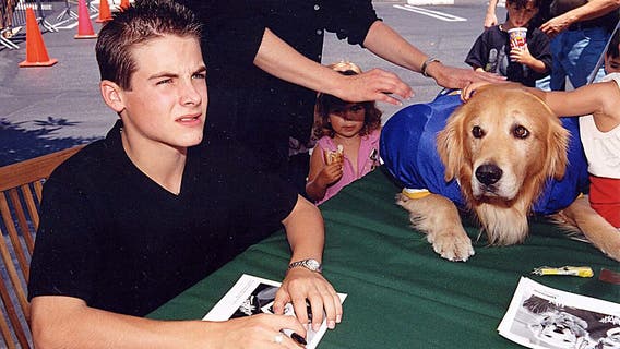 Air Bud is back: Golden retrievers audition to be the next basketball star