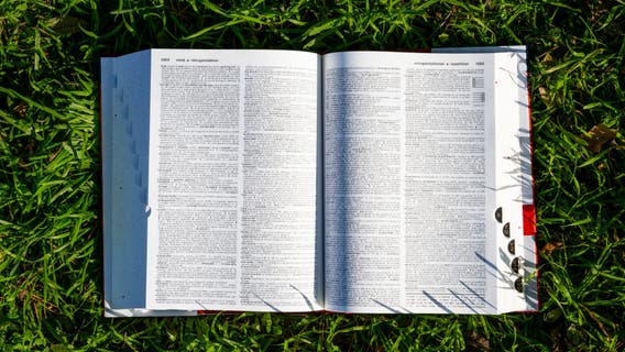 'Skibidi' and 'tradwife' among 6,000 new words added to Cambridge dictionary