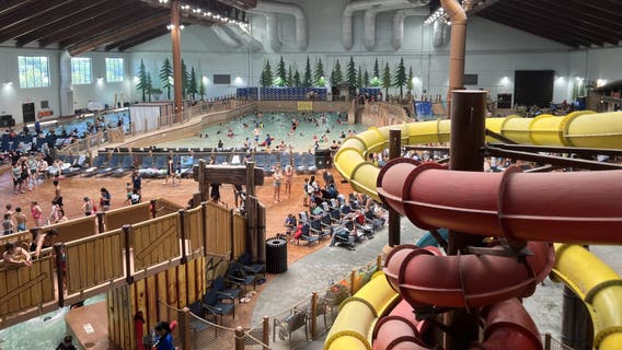 Great Wolf Lodge flash sale offers $84 rooms for one day only