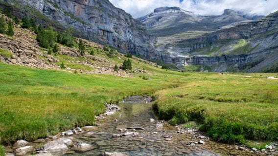 Missing American hiker found dead in remote mountains over a month after disappearing: Reports