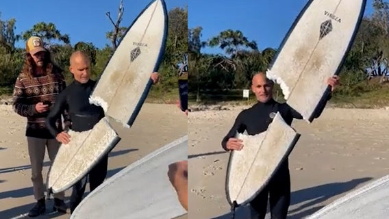 Shark takes huge bite out of surfer’s board: 'It bit right behind him’