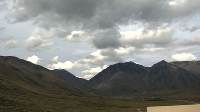 First signs of changing leaves spotted in Alaska as seasonal shift begins