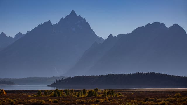 Bat colony found in Grand Teton lodge, possibly exposing hundreds to rabies