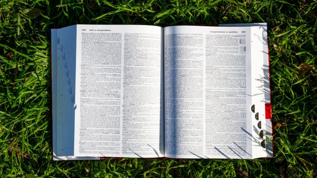 'Skibidi' and 'tradwife' among 6,000 new words added to Cambridge dictionary