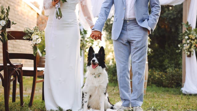 Most young adults today haven’t reached key adulthood milestones, US Census data finds